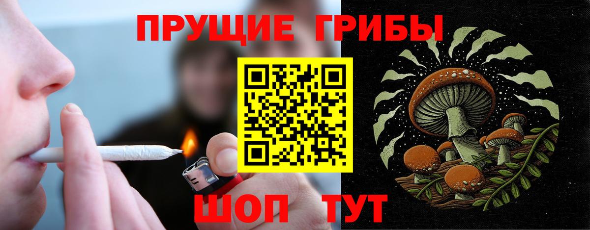 Галлюциногенные грибы GOLDEN TEACHER Донецк